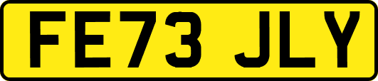 FE73JLY