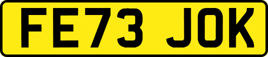 FE73JOK