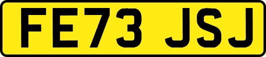 FE73JSJ