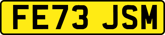 FE73JSM