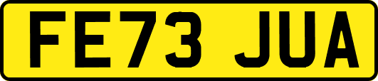 FE73JUA