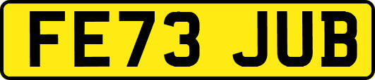 FE73JUB