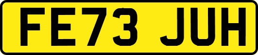 FE73JUH