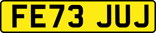 FE73JUJ