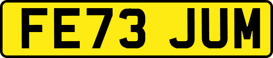 FE73JUM