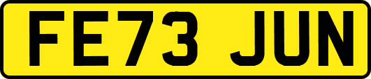 FE73JUN