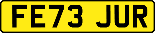 FE73JUR