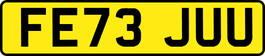FE73JUU