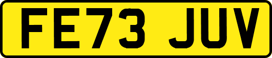 FE73JUV