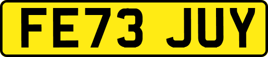 FE73JUY