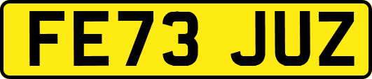 FE73JUZ
