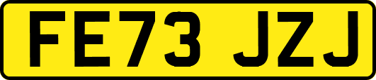 FE73JZJ