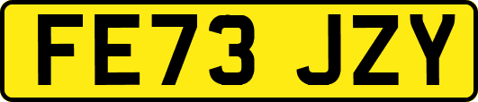 FE73JZY