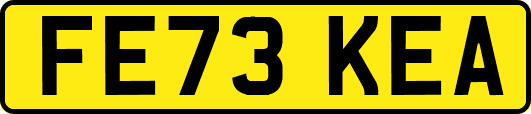 FE73KEA