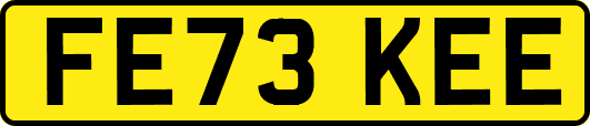 FE73KEE