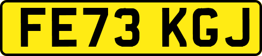 FE73KGJ