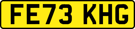 FE73KHG