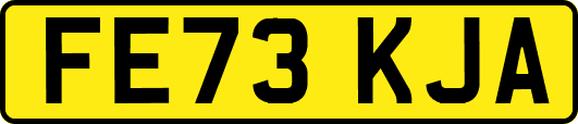 FE73KJA