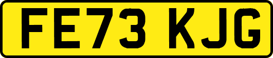 FE73KJG