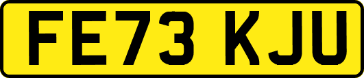 FE73KJU