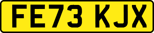 FE73KJX