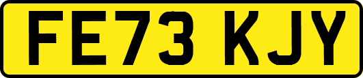 FE73KJY