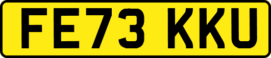FE73KKU