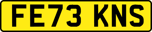 FE73KNS
