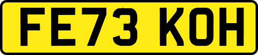 FE73KOH