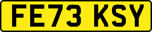 FE73KSY