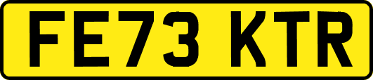 FE73KTR