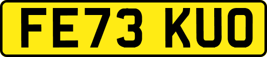 FE73KUO