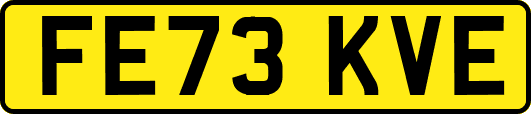 FE73KVE