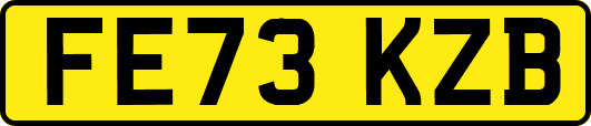 FE73KZB