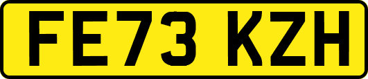 FE73KZH
