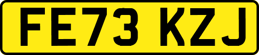 FE73KZJ