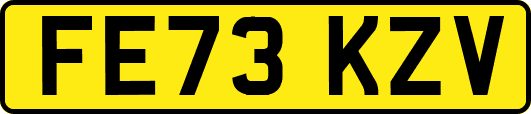 FE73KZV