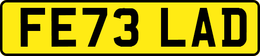 FE73LAD