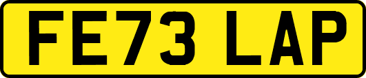FE73LAP