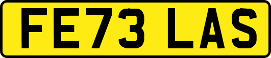 FE73LAS