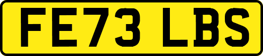 FE73LBS