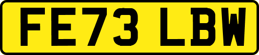 FE73LBW