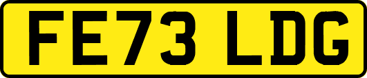 FE73LDG