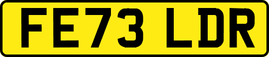 FE73LDR