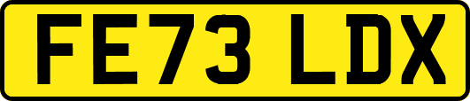FE73LDX