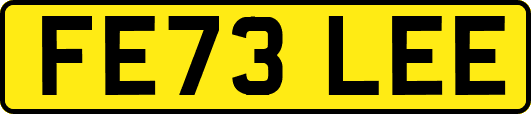 FE73LEE