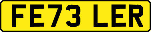 FE73LER