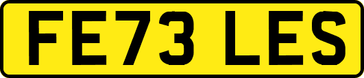 FE73LES