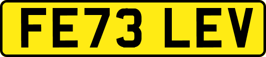 FE73LEV