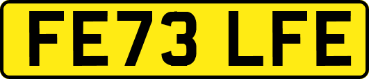 FE73LFE